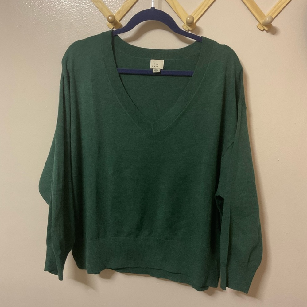 Ava and Viv thin v-neck sweater.